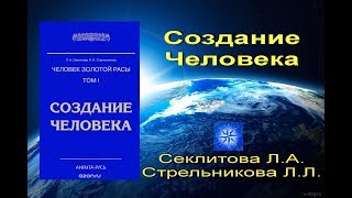 Создание человека. Стрельникова Л.Л.