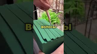 Интересные Факты которые спасут вам жизнь  #shors #юмор