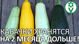 КАБАЧКИ ЗИМОЙ БОЛЬШЕ НЕ ПОКУПАЮ! Как сохранить свежие кабачки на зиму