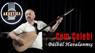 Cem Çelebi - Bülbül Havalanmış Yüksekten Uçar (Canlı Performans)