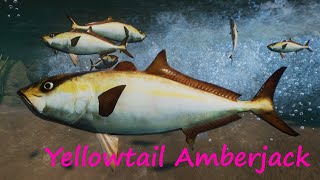 Yellowtail Amberjack by Leaf, Jen and Buffzoo - Planet Zoo Mod