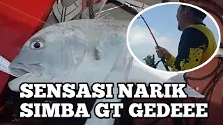 Tarikan Mancing Simba GT Gebur Giant Spot Punduh Pidada Lampung