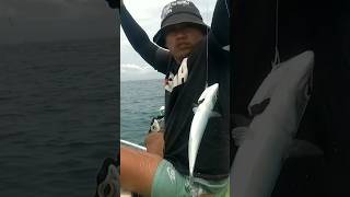 Trolling Fishing Big Catch #fishing #trolling #Shorts #viralshorts #viralvideos #trendingshorts