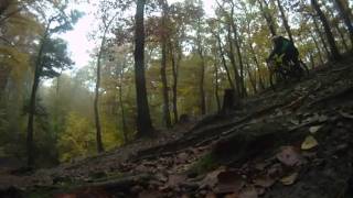 Mountain biking in Prague "Prague Parks" tour  by Biko Adventures Prague