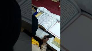 Dhan Dhan Sri Guru Granth Sahib Ji Maharaj #waheguruji #viral #shorts #gurbani #worldwide