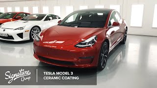 Tesla Model 3 | New Car Detail & Ceramic Coating