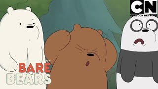 Pardo, Polar y Panda: los hermanos que siempre están juntos | Escandalosos | Cartoon Network