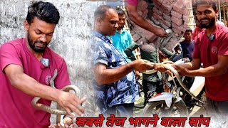 घोड़ा पछाड़ सांप को गाय की दूध पीते हुए देखा ।। सच्चाई जाने।। #snake_rescue