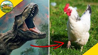 5 Animals Related To Dinosaurs!