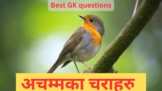 अचम्मका चराहरु | कुन चराले के गर्छन् ? | Birds of various features