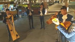 Mariachi in San Miguel Mexico