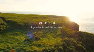 TOKYO PEACE TREASURE ISLANDS - AOGASHIMA | 東京”真”宝島