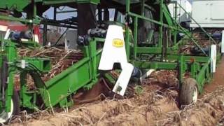 Allan Equipment Electric 8 Row Potato Harvester