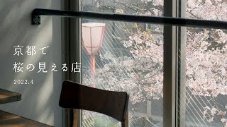 京都で桜の見える店4選 2022年4月1日〜6日 SECOND HOUSE/IN THE GREEN/和牛焼肉 徳 /Cafe＆Bar POCHE 【京都 お花見】