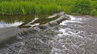 A Perfect Background Sound of Flowing Water for Relaxation, Sleep, Meditation, and Focus