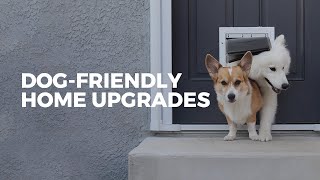 Our dog-friendly home upgrade // DIY doggy door!