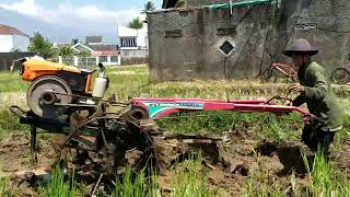 Traktor Yanmar YST,,Mulai Bajak Sawah Awal