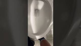 ULTRA EXTREMELY SUPER GOD DAMN POWERFUL ZURN TOILET ON EARTH!