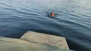 training to new ladder on duck boat