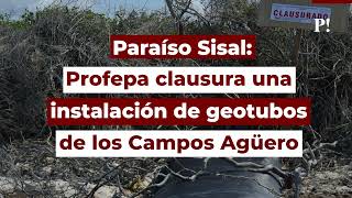 Dueños del Paraíso: Semarnat autorizó en 2018 la deforestación y urbanización de la Reserva de Sisal