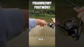 ryba która zerwał twój stary tydzień temu #wędkarstwo #ryby #fishing #spinning #rzeka #klenie