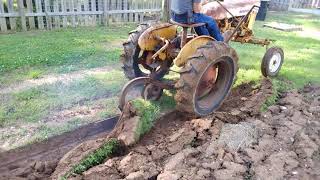 Farmall Cub garden