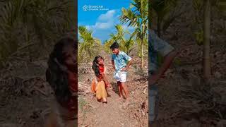 panju mittai selai katti whatsapp status