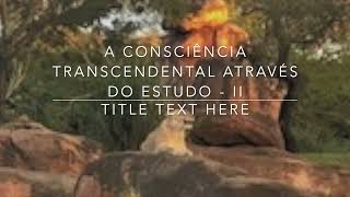 A Consciência Transcendental através do Estudo   II