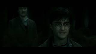 Harry Potter and the Deathly Hallows - The Forest Again / Resurrection Stone