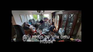 חברה לפינוי דירות של אספנים כפייתיים - פינוי דירות וניקיון