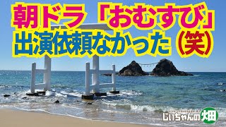 糸島野菜（自家用）秋野菜の畝間にもみ殻敷いて準備できました。残念ながら朝ドラ「おむすび」への出演依頼はありませんでした。9/26