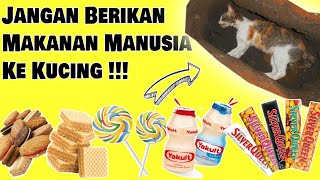 Jangan Pernah Berikan Makanan Manusia Ke Kucing, Akibatnya Sangat Fatal