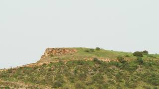 4K Free Stock Footage: Side of a hill