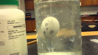 density - suspended egg in salt water