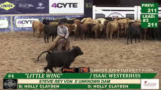 Isaac Westerhuis Little Wing Limited Open Champion NCHA AU Futurity 2024