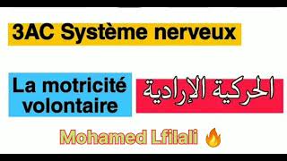 Résumé de la motricité volontaire 💎ملخص التحركية الإرادية 💥مسار السيالة العصبية الحركية