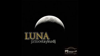 LUNA.  original mix. 2024. princetaylordj. the wizard