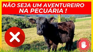 NÃO SEJA UM  AVENTUREIRO NA PECUÁRIA !