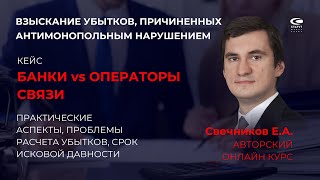 Cвечников Е.А. О взыскании убытков, причиненным антимонопольным нарушением