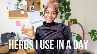 HERBS I USE IN A DAY  |  HERBAL VLOG