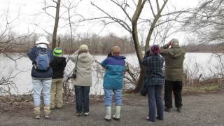 Burlington County Parks in Winter