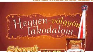 Sógorok LP2 - Hegyen-völgyön lakodalom - TV reklámszpot.mpg