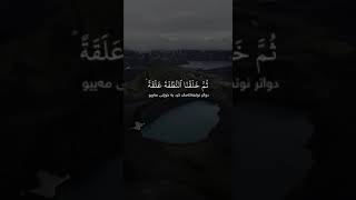 سورة المؤمنون _ ياسر الدوسري