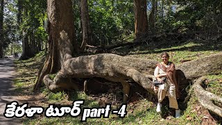 కేరళా వెళితే ఈ ప్లేసెస్ మిస్ అవ్వకండి  Kerala trip 4th day