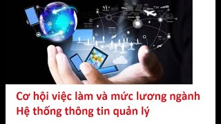 Cơ hội việc làm và mức lương ngành Hệ thống thông tin quản lý