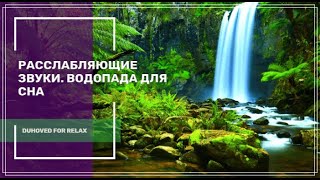 Расслабляющие Звуки. Водопад Для Сна ✦ Пение Птиц ✦ Nature Sounds