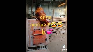 сила любви!!!😂😂