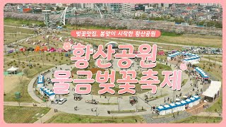 이슈연구소 황산공원 물금벚꽃축제