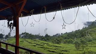 kabut warung pinggir jalan puncak bogor