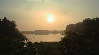 The Morning, Asean Heritage Park, Merimbun Lake, Long Mayan, Brunei Darussalam